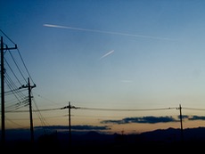 ファイル 3124-1.jpg