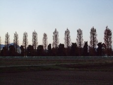 ファイル 3125-1.jpg