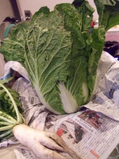 ファイル 3127-1.jpg