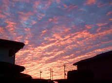 ファイル 3132-1.jpg