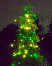 ファイル 3137-1.jpg