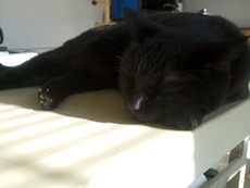 ファイル 3139-1.jpg