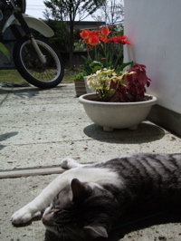 ファイル 314-2.jpg