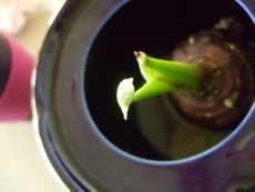 ファイル 3140-1.jpg