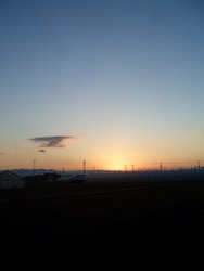 ファイル 3145-2.jpg