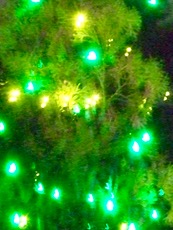 ファイル 3147-1.jpg