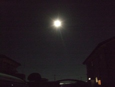 ファイル 3149-2.jpg