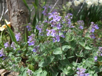 ファイル 315-3.jpg