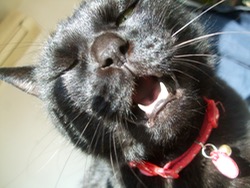 ファイル 3157-1.jpg