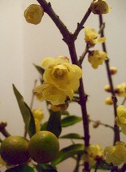 ファイル 3161-1.jpg