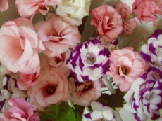 ファイル 3162-1.jpg