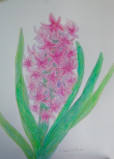 ファイル 3165-1.jpg