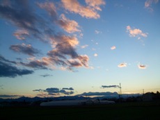 ファイル 3169-1.jpg