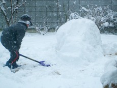 ファイル 3172-1.jpg