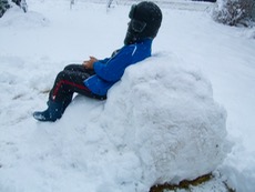 ファイル 3172-2.jpg