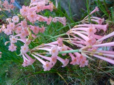 ファイル 3174-1.jpg