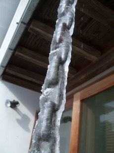 ファイル 3175-1.jpg