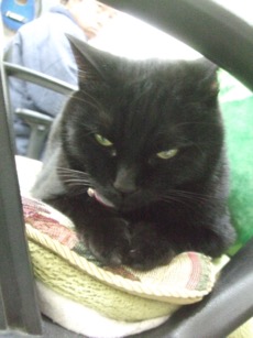 ファイル 3177-1.jpg