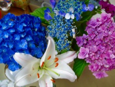 ファイル 3177-3.jpg