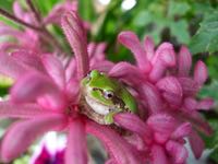 ファイル 3177-4.jpg