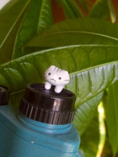 ファイル 3178-1.jpg