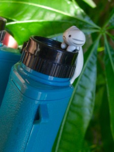 ファイル 3178-2.jpg