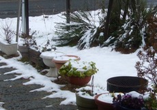 ファイル 3184-1.jpg