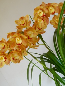 ファイル 3190-1.jpg