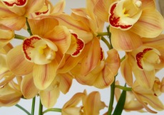 ファイル 3190-2.jpg