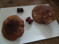 ファイル 320-1.jpg