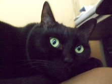 ファイル 3201-1.jpg