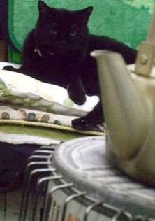 ファイル 3203-1.jpg