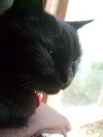 ファイル 3204-4.jpg