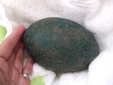 ファイル 3206-1.jpg