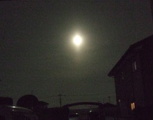 ファイル 3209-1.jpg