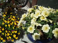 ファイル 321-2.jpg