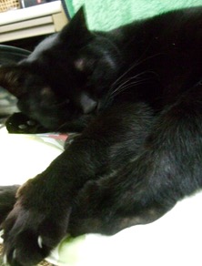 ファイル 3213-1.jpg