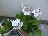 ファイル 322-3.jpg