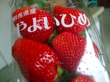 ファイル 3225-1.jpg