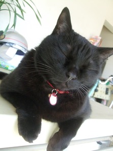 ファイル 3237-1.jpg