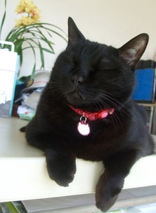 ファイル 3238-1.jpg