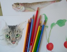 ファイル 3241-1.jpg