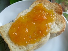 ファイル 3243-1.jpg