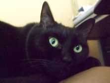 ファイル 3246-1.jpg