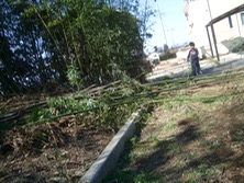 ファイル 3247-1.jpg