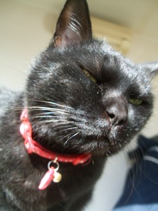 ファイル 3249-1.jpg