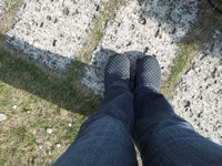 ファイル 325-1.jpg