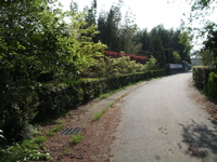 ファイル 325-3.jpg