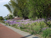 ファイル 325-4.jpg