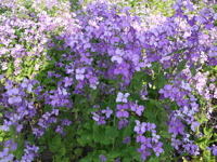 ファイル 325-5.jpg